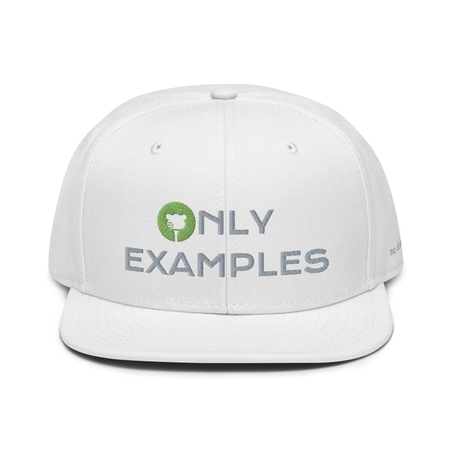 ONLY EXAMPLES Snapback