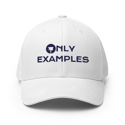 ONLY EXAMPLES Flexfit®