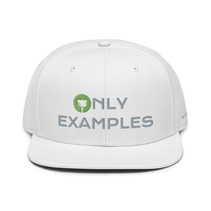 ONLY EXAMPLES Snapback